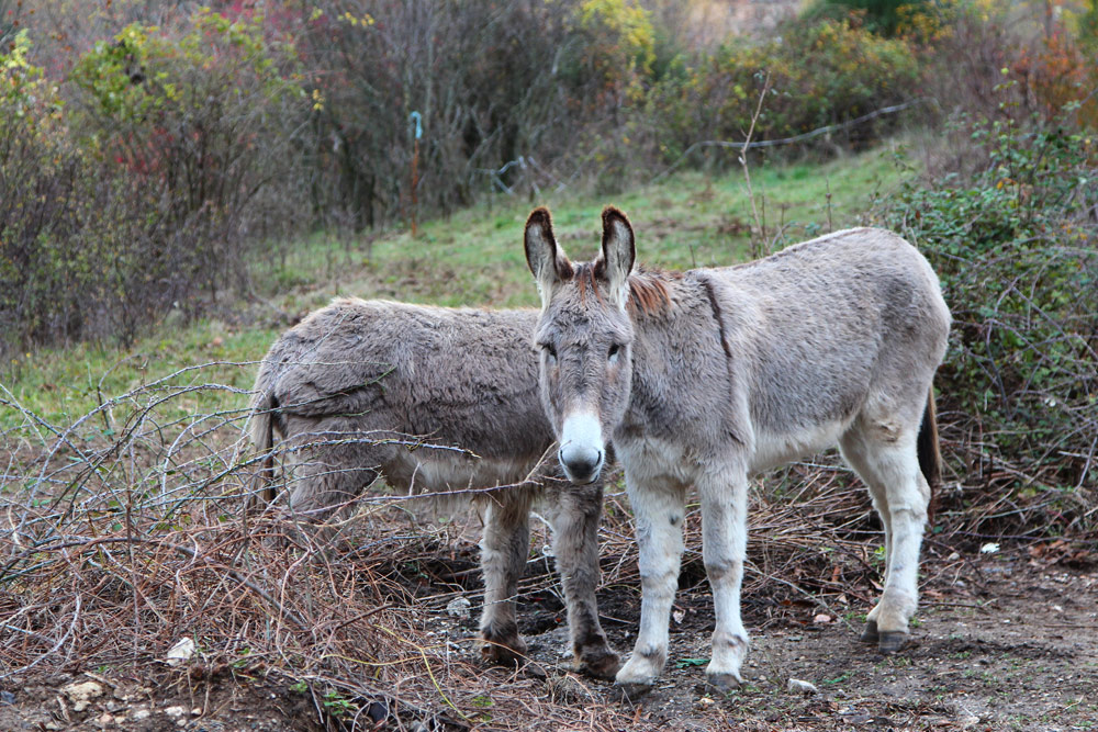 Moustiers-Sainte-Marie trip planner